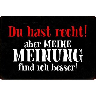 Schild Spruch "Du hast recht, aber meine Meinung find ich besser" 20 x 30 cm Blechschild