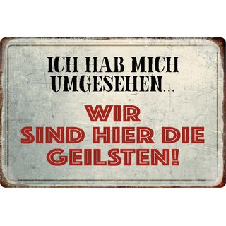 Schild Spruch "Ich hab mich umgesehen, wir sind die Geilsten" 20 x 30 cm Blechschild