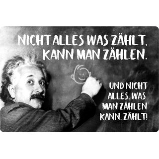 Schild Spruch "Nicht alles was zählt, kann man zählen" Albert Einstein 20 x 30 cm Blechschild