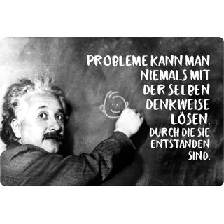 Schild Spruch "Probleme nie Denkweise lösen, entstanden" Einstein 20 x 30 cm Blechschild