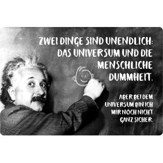 Schild Spruch "unendlich, Universum menschliche Dummheit" Einstein 20 x 30 cm Blechschild
