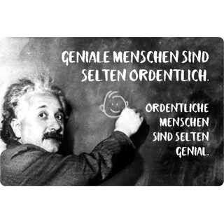 Schild Spruch "Geniale Menschen selten ordentlich" Einstein 20 x 30 cm Blechschild