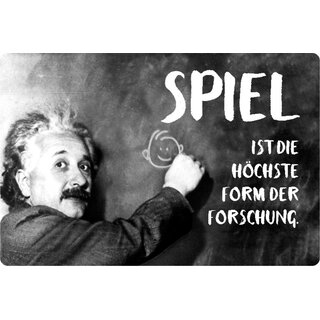 Schild Spruch "Spiel höchste Form der Forschung" Einstein 20 x 30 cm Blechschild