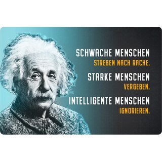 Schild Spruch "schwache starke intelligente Menschen" Einstein blau 20 x 30 cm Blechschild