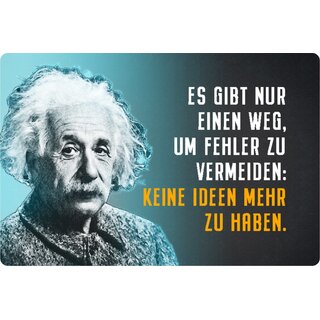 Schild Spruch "Weg Fehler vermeiden, keine Ideen" Einstein blau 20 x 30 cm Blechschild