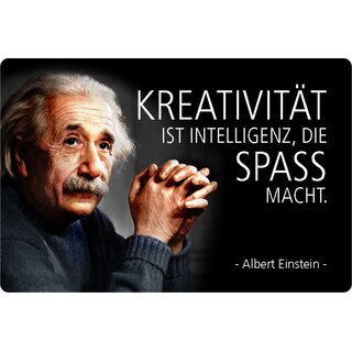 Schild Spruch "Kreativität ist Intelligenz, Spaß macht" Einstein 20 x 30 cm Blechschild