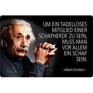 Schild Spruch "Mitglied Schafherde, muss Schaf sein" Einstein 20 x 30 cm Blechschild