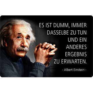 Schild Spruch "dumm, dasselbe tut, anderes Ergebnis" Einstein 20 x 30 cm Blechschild