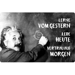 Schild Spruch "Lerne gestern, lebe, vertraue auf morgen" Einstein 20 x 30 cm Blechschild