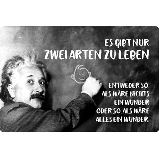 Schild Spruch "zwei Arten leben, nichts alles Wunder" Einstein 20 x 30 cm Blechschild