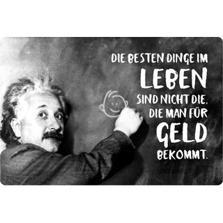Schild Spruch "besten Dinge Leben nicht Geld bekommt" Einstein 20 x 30 cm Blechschild