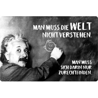Schild Spruch "Welt nicht verstehen" Einstein 20 x 30 cm Blechschild