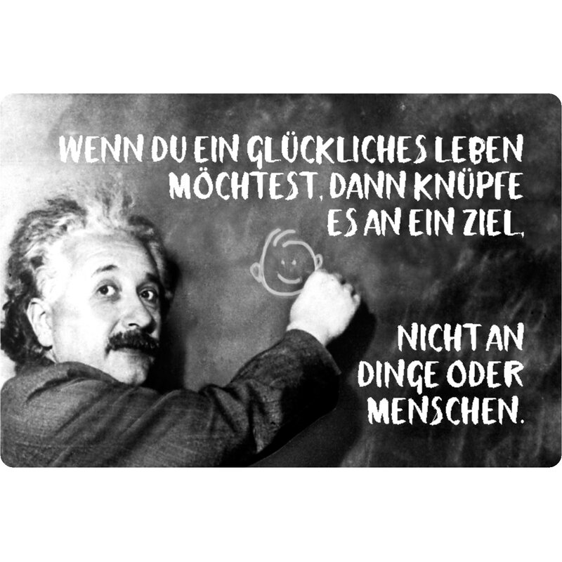 Schild Spruch "glückliches Leben, Ziel, nicht Dinge" Einstein 20 x 30