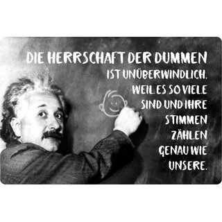 Schild Spruch "Herrschaft dumme unüberwindlich" Einstein 20 x 30 cm Blechschild