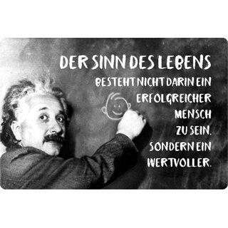 Schild Spruch Sinn Leben erfolgreicher Mensch, wertvoll Einstein dunkler Hintergrund 20 x 30 cm Blechschild