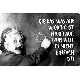Schild Spruch "gib was wichtig ist nicht auf, nicht einfach" Einstein 20 x 30 cm Blechschild