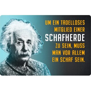 Schild Spruch "tadelloses Mitglied Schafherde, Schaf sein" Einstein 20 x 30 cm Blechschild