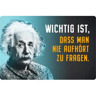 Schild Spruch "Wichtig, nie aufhört zu fragen" Einstein blau 20 x 30 cm Blechschild