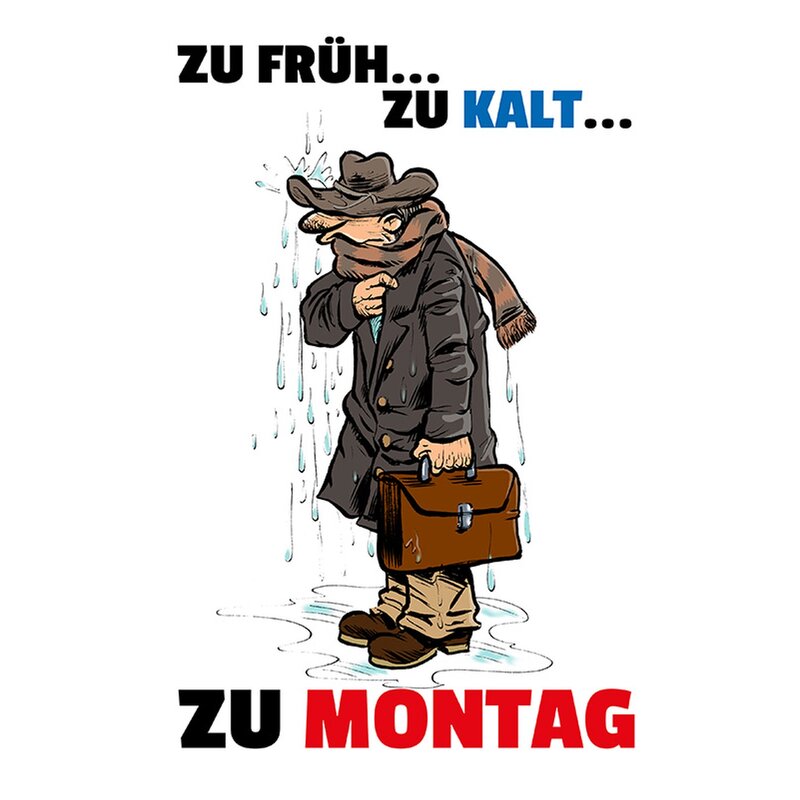 Schild Spruch "Zu früh, zu kalt, zu Montag" 20 x 30 cm Blechschild, 7,99