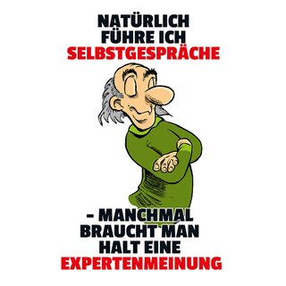 Schild Spruch "führe Selbstgespräche, braucht Expertenmeinung" 20 x 30 cm Blechschild