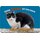 Schild Spruch "Ohne Katze ist ein Haus kein Zuhause" 20 x 30 cm Blechschild