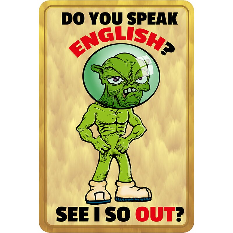 Schild Spruch "Do you speek english, see i so out" 20 x 30 cm Blechsc