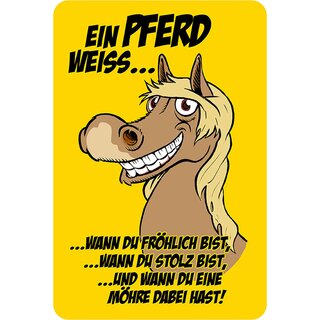 Schild Spruch "Pferd weiß wann fröhlich, stolz bist, Möhre" 20 x 30 cm Blechschild