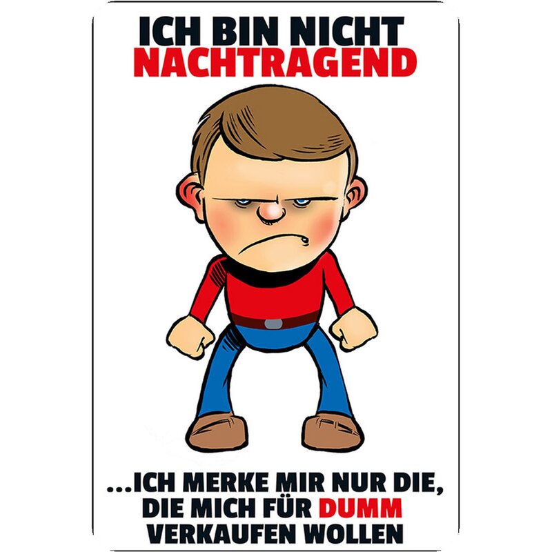 Schild Spruch "nicht nachtragend, merke mir dumm verkaufen" 20 x 30 c