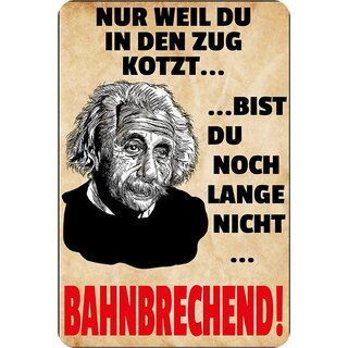 Schild Spruch "in Zug kotzt, bist du nicht bahnbrechend" Einstein 20 x 30 cm Blechschild