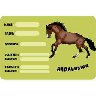 Schild Spruch "Andalusier, Name Rasse Geboren" Pferd 20 x 30 cm Blechschild