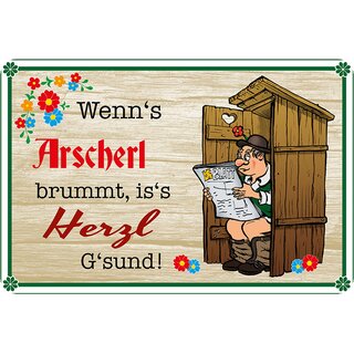 Schild Spruch "Wenns Arscherl brummt iss Herzl Gsund" 20 x 30 cm Blechschild