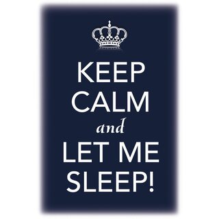 Schild Spruch "Keep calm and let me sleep" 20 x 30 cm Blechschild