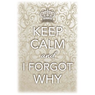 Schild Spruch "Keep calm and I forgot why" 20 x 30 cm Blechschild