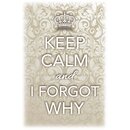 Schild Spruch "Keep calm and I forgot why" 20 x...