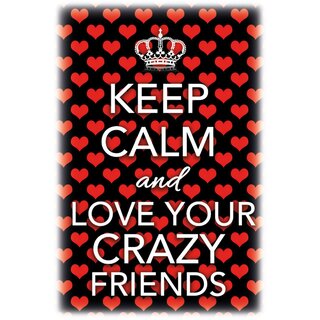 Schild Spruch Keep calm and love your crazy friends 20 x 30 cm Blechschild