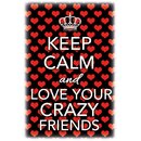 Schild Spruch Keep calm and love your crazy friends 20 x...