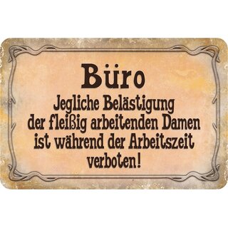 Schild Spruch "Büro, Belästigung fleißig Damen während Arbeit verboten" 20 x 30 cm Blechschild