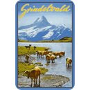 Schild Stadt "Grindelwald" Kühe Landschaft...