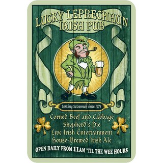 Schild Spruch "Lucky Leprechaun Irsih Pub, open daily" 20 x 30 cm Blechschild