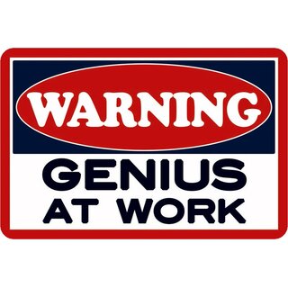 Schild Spruch "Warning genius at work" Genie am Werk 20 x 30 cm Blechschild