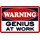 Schild Spruch "Warning genius at work" Genie am Werk 20 x 30 cm Blechschild