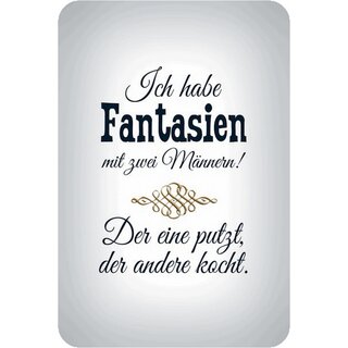 Schild Spruch "habe Fantasien mit zwei Männern, der eine putzt kocht" 20 x 30 cm Blechschild