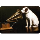 Schild Motiv "Hund vor Plattenspieler" 20 x 30...