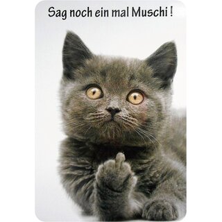 Schild Spruch "Sag noch ein mal Muschi" Katze 20 x 30 cm Blechschild