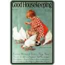Schild Spruch "Good Housekeeping" Hühner...