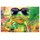 Schild Motiv "Frosch mit Mojito Glas" 20 x 30 cm Blechschild