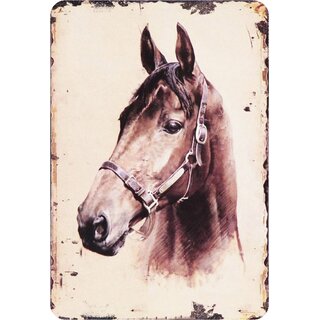 Schild Spruch "Pferd mit Halfter" 20 x 30 cm Blechschild